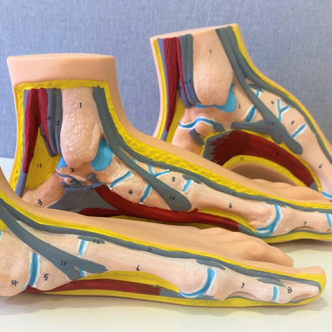 maquetas pies